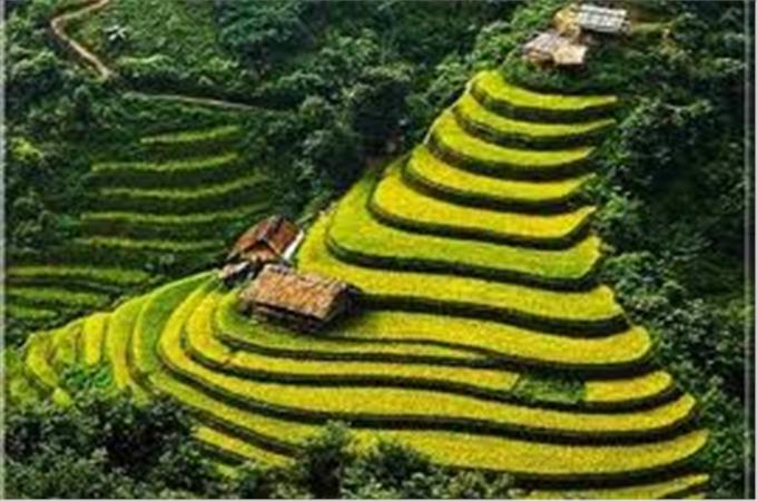 HA NOI/NINH BINH – SAPA HOTEL AND HOMESTAY 3D2N