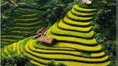 HA NOI/NINH BINH – SAPA HOTEL AND HOMESTAY 3D2N