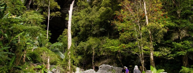 HANG TIEN CAVE FULLDAY TOUR  DISCOVERY