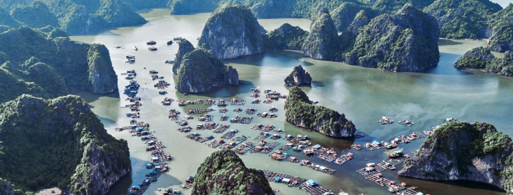 HALONG BAY – GOLDEN BAY 2**  (HALONG 3 DAYS 2 NIGHTS BOAT AND CAT BA HOTEL) )