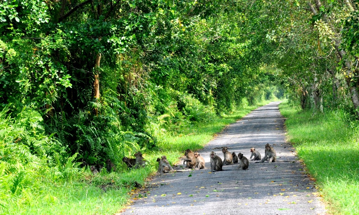 CUC PHUONG NATIONAL PARK FULLDAY TOUR