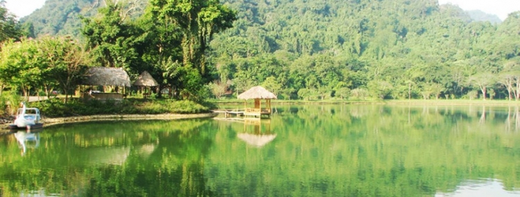 CUC PHUONG NATIONAL PARK FULLDAY TOUR