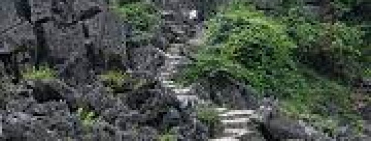 Tour Hang mua (Mua cave)-Hoa Lư-Trang An-Bich Dong Pagoda (full day)