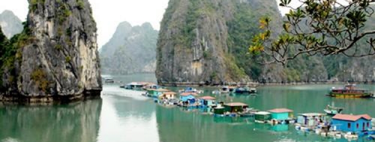 Ha Long Bay 3 days 2 nights (Starlight Cruise 5*****)