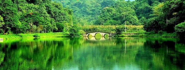 CUC PHUONG NATIONAL PARK FULLDAY TOUR