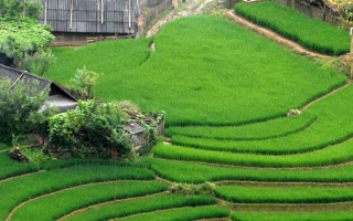 Mai Chau 1 day