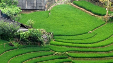 Mai Chau 1 day