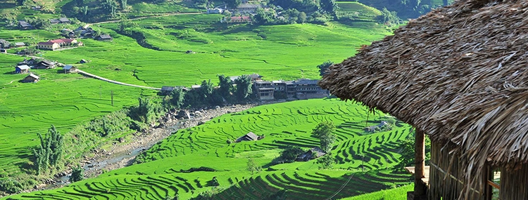 HA NOI/NINH BINH – SAPA HOTEL AND HOMESTAY 3D2N