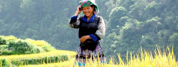 HA NOI/NINH BINH – SAPA HOTEL AND HOMESTAY 3D2N